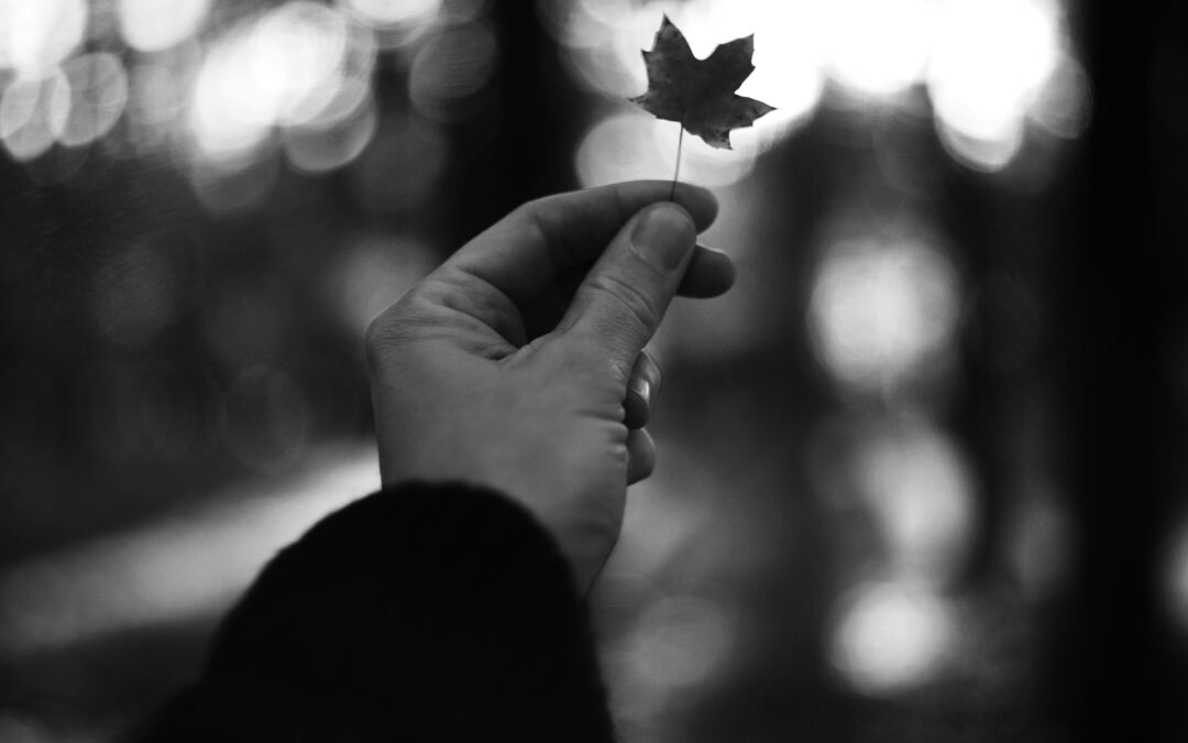 taoist non-resistance