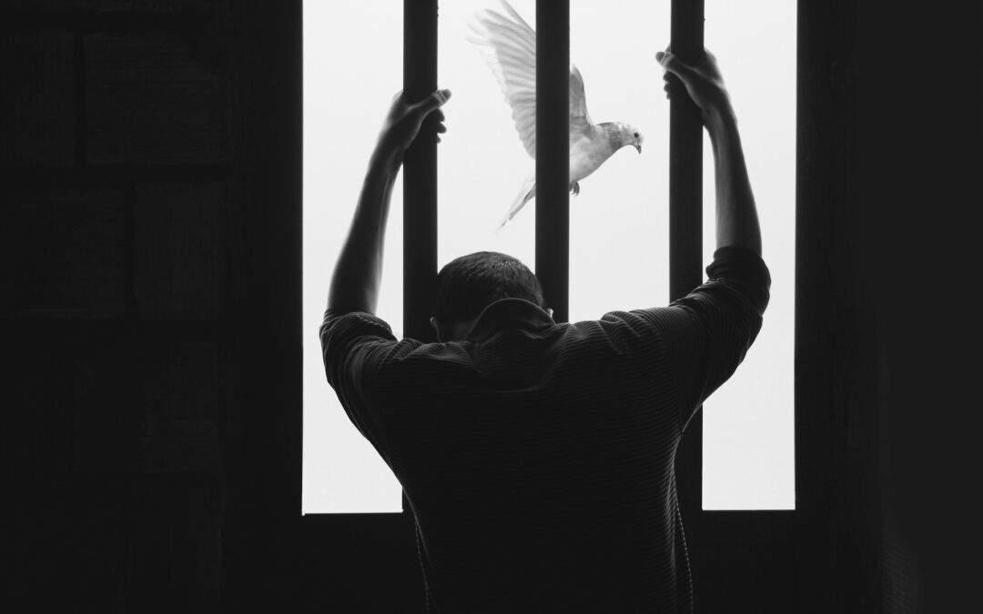 Schopenhauer’s Philosophy