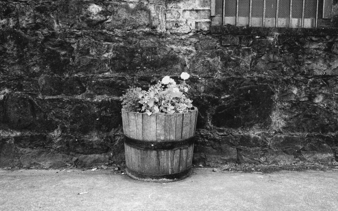 The War of the Bucket