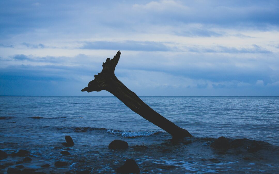 meaninglessness and worthlessness