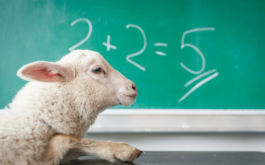 SANGF 6: You’re Wrong About Everything (But So Am I)