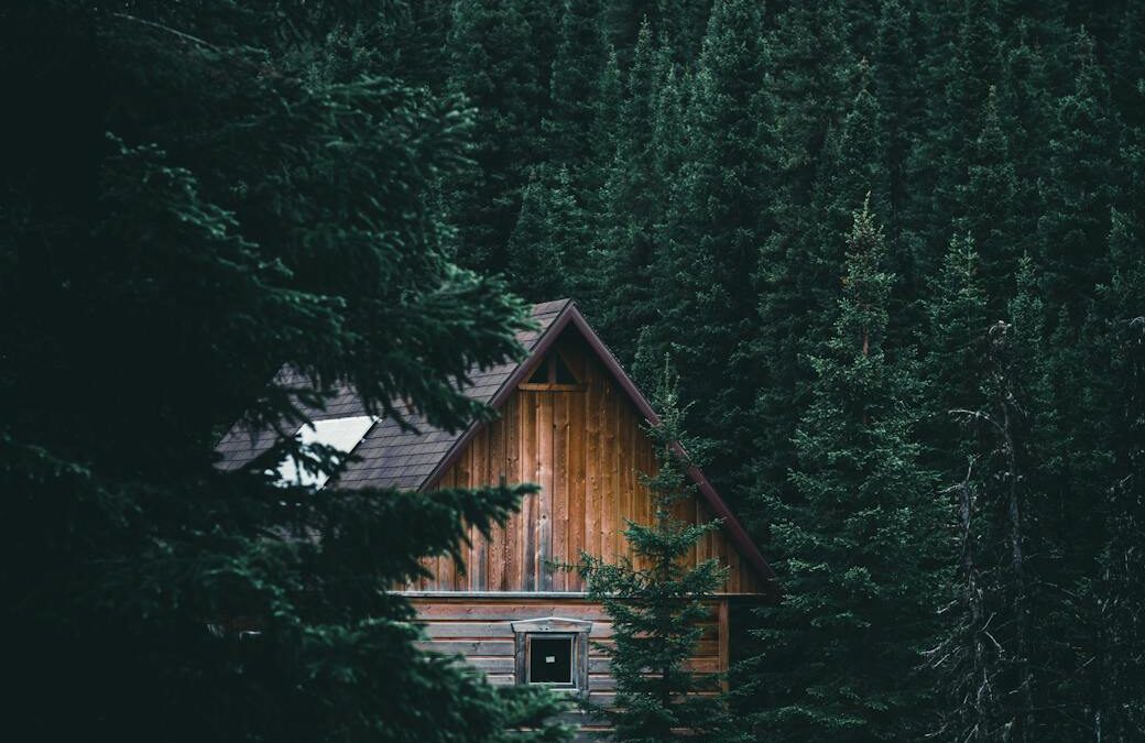 Places the Rich Would Flee to Escape WW3